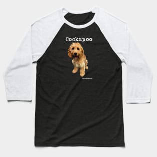Golden Apricot Cockapoo / Spoodle and Doodle Dog Baseball T-Shirt